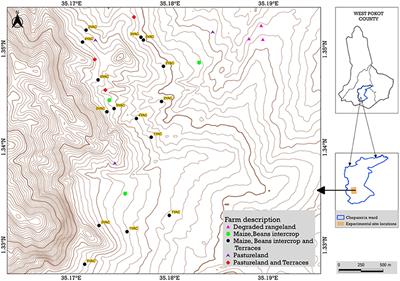 Effect of land rehabilitation measures on soil organic carbon fractions in semi-arid environment